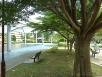 Singapore Campus